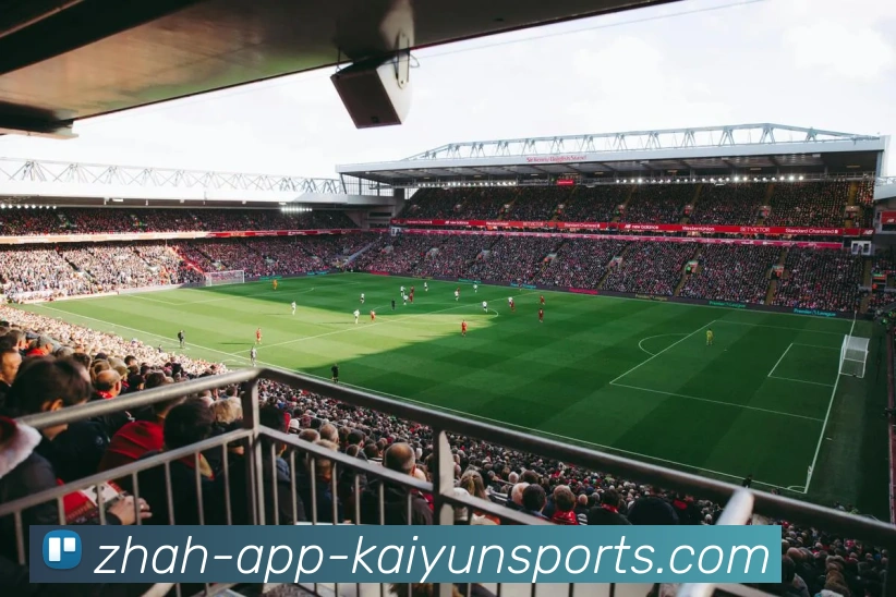 开云体育服务体系