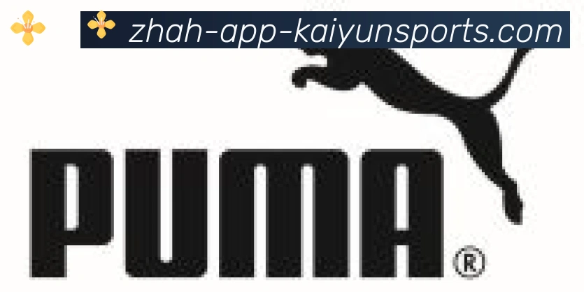 ky开云合作伙伴